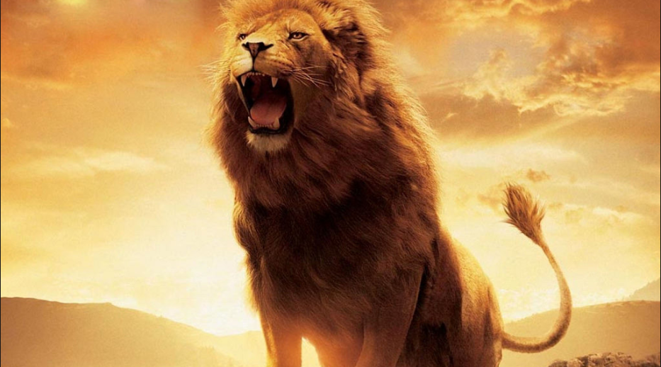 Aslan is on the move – Transformed in Christ